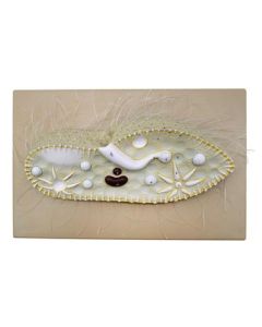 Paramecium Model, Three Dimensional, Sectional View  with Hand Painted Details - Mounted on Base, 15" x 9.5" - Eisco Labs